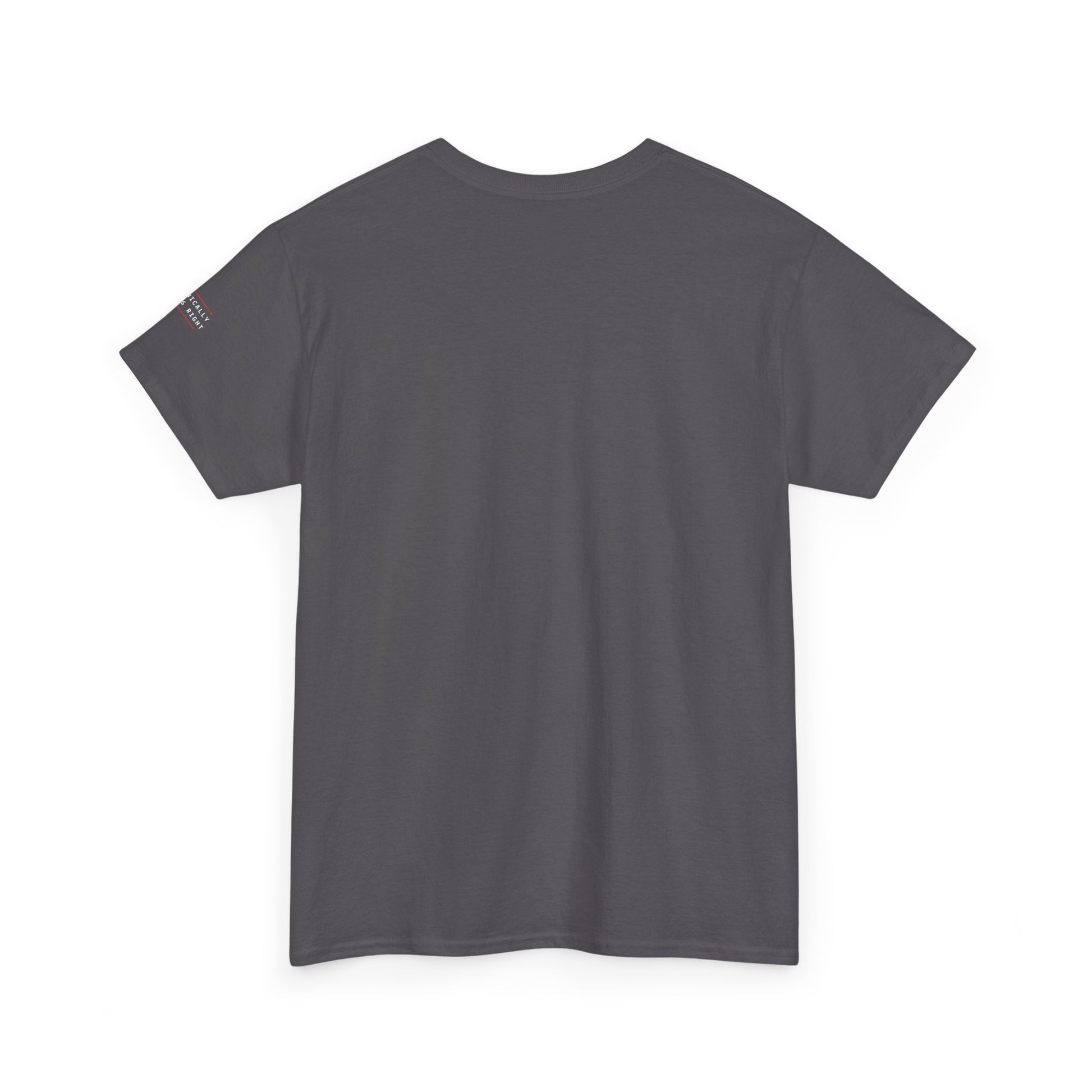 Professionally Sarcastic — Charcoal