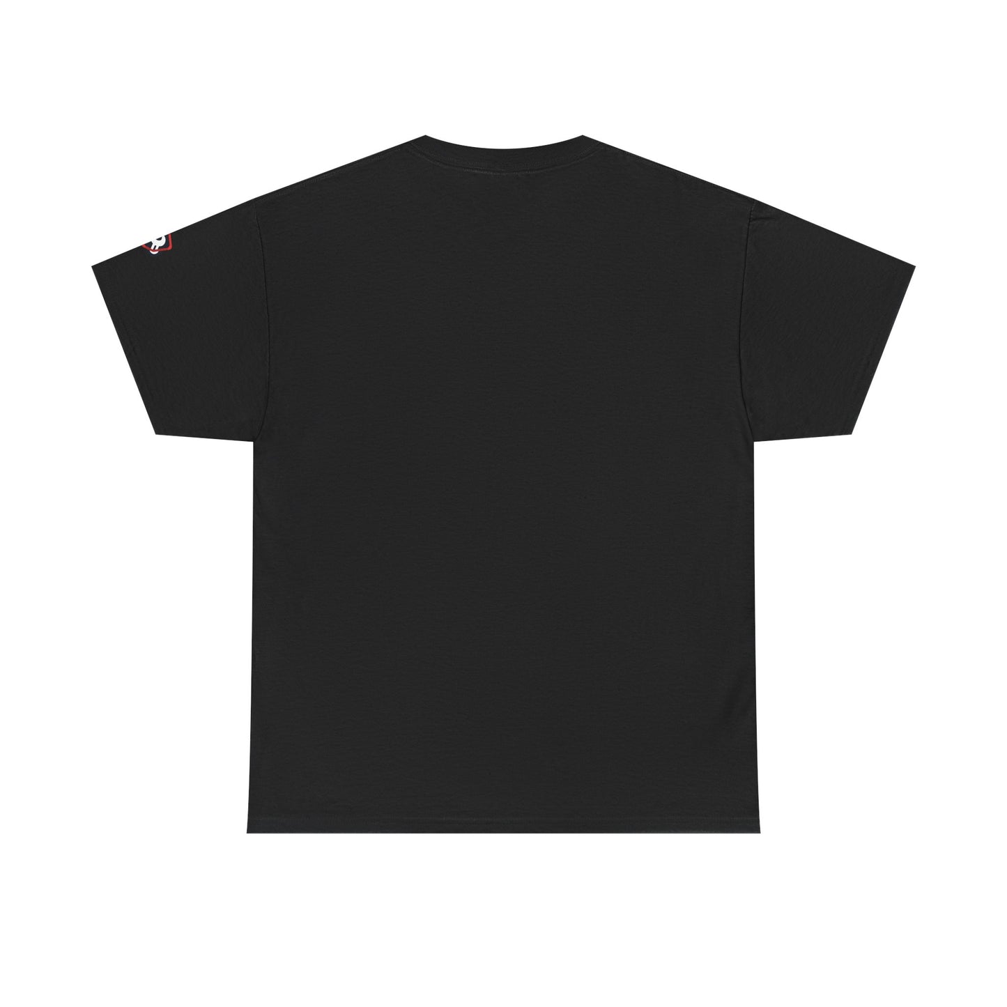 Trust Me I Watched A Video — Heavyweight Tee — Tool Army