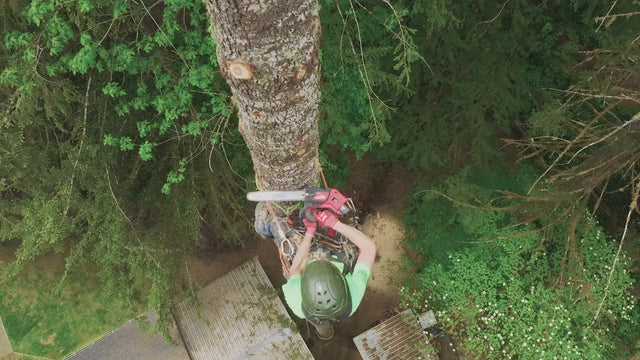 Milwaukee 2826-20T M18 FUEL 14" Top Handle Chainsaw (Tool-Only) product video